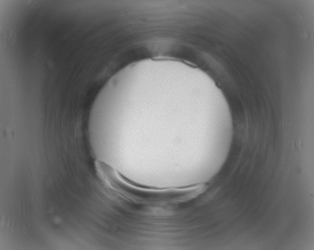 X0000081280221200702082001