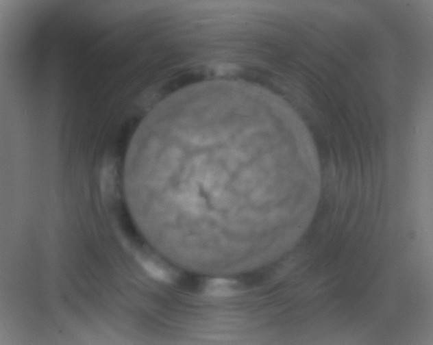 X0000081280222200702082001