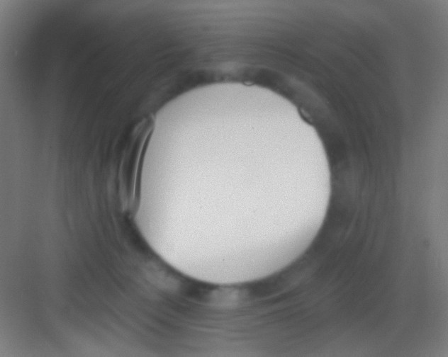 X0000081280225200702082001