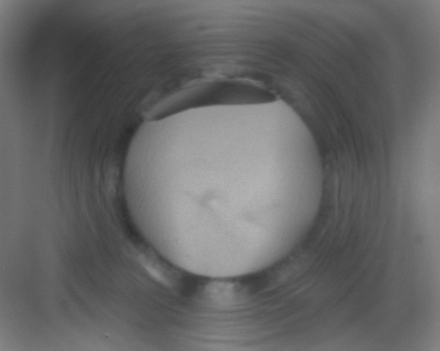 X0000081280227200702082001