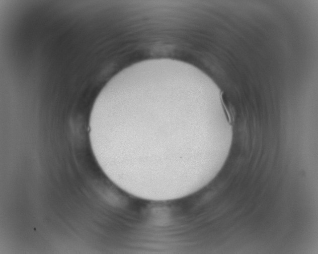 X0000081280228200702082001