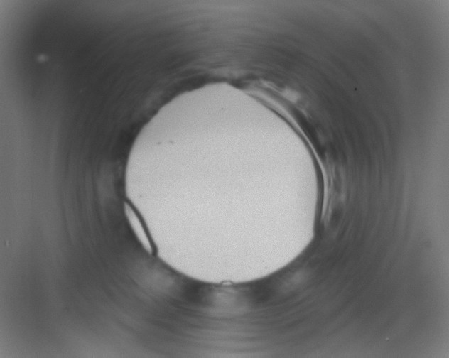 X0000081280229200702082001