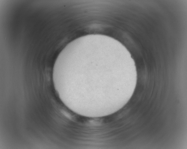 X0000081280232200702082001