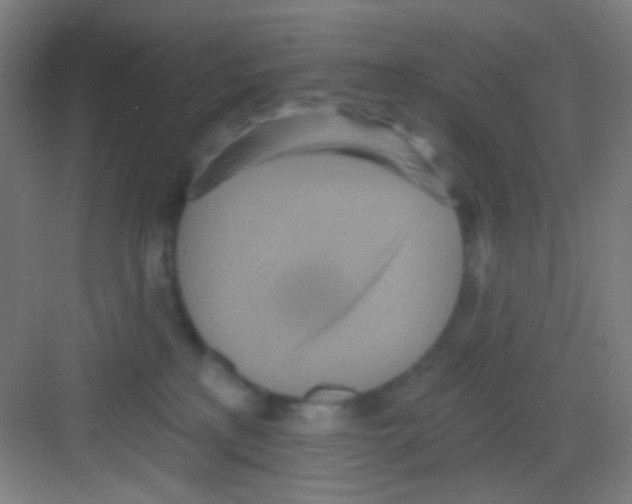 X0000081280233200702082001