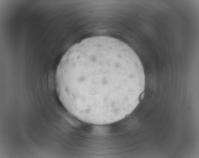 X0000081280234200702082001