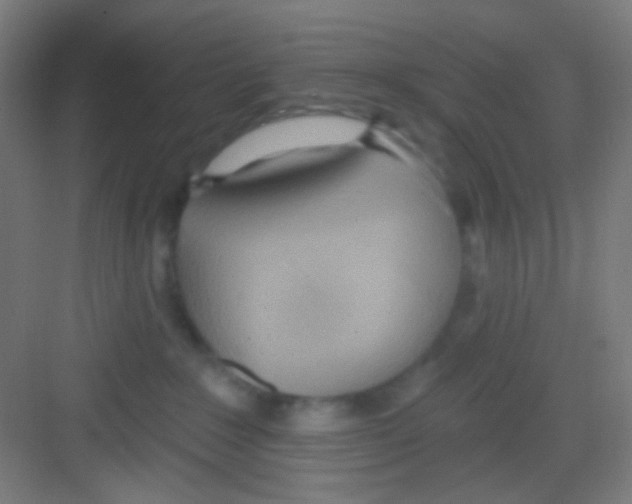 X0000081280235200702082001