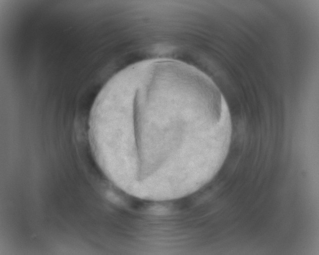 X0000081280236200702082001