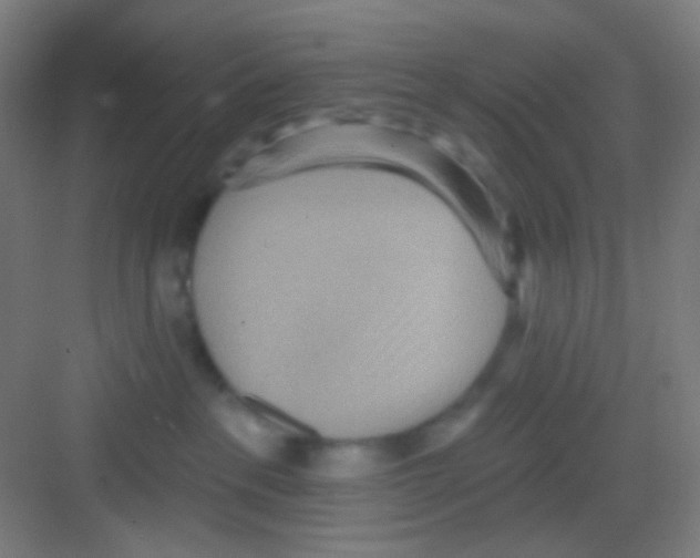 X0000081280237200702082001