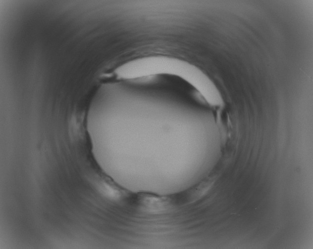 X0000081280239200702082001