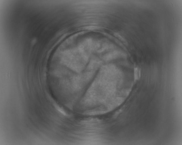 X0000081280243200702082000