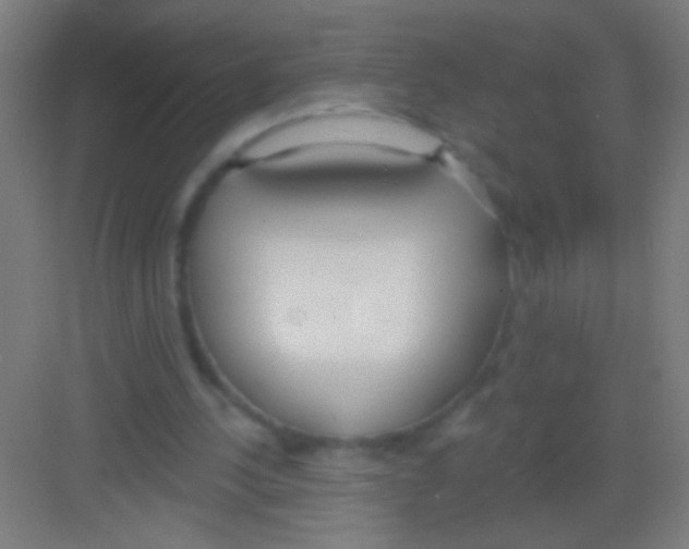 X0000081280244200702082000