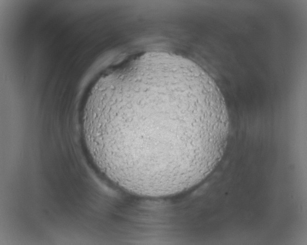 X0000081280245200702082000