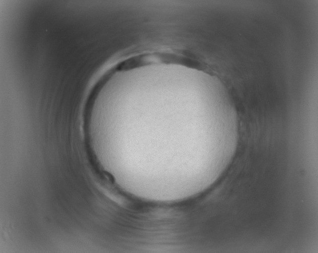 X0000081280246200702082000