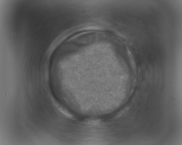 X0000081280247200702082000