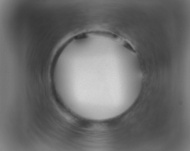 X0000081280248200702082000