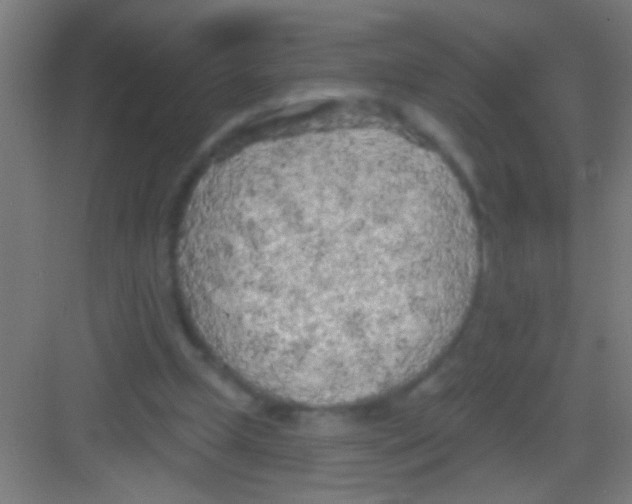 X0000081280249200702082000