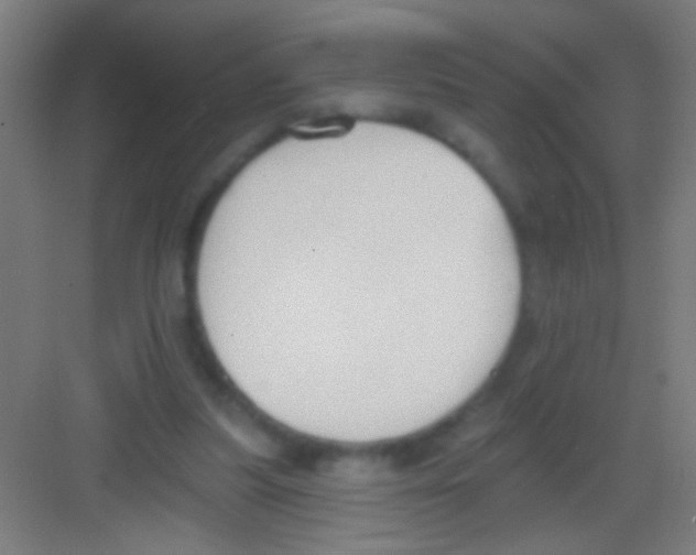 X0000081280251200702082000