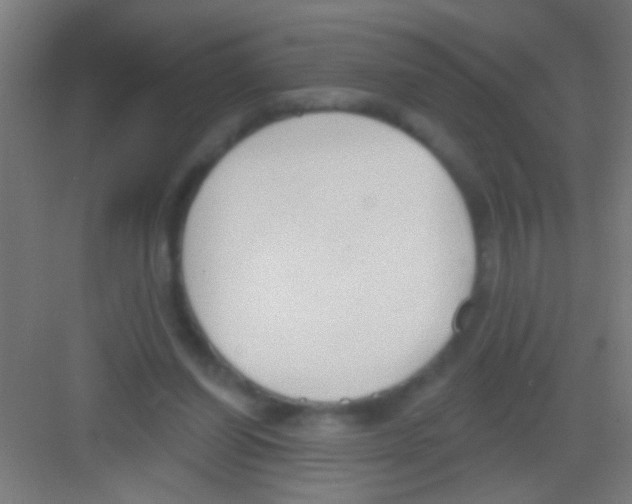 X0000081280254200702082000