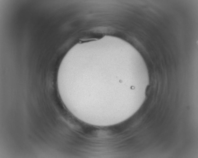 X0000081280255200702082000