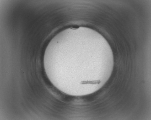 X0000081280256200702082000