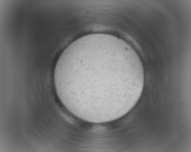 X0000081280257200702082000