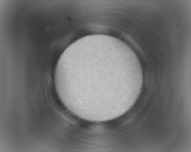 X0000081280259200702082000