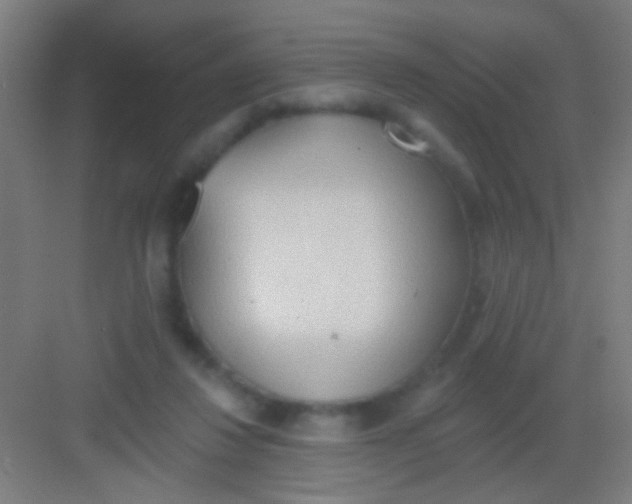 X0000081280260200702082000