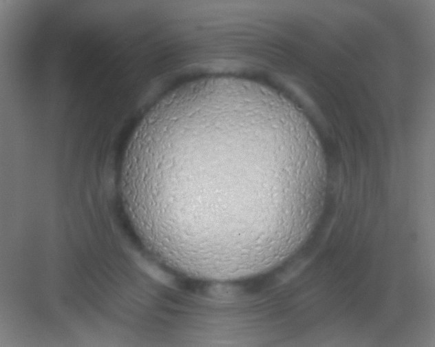 X0000081280261200702082000