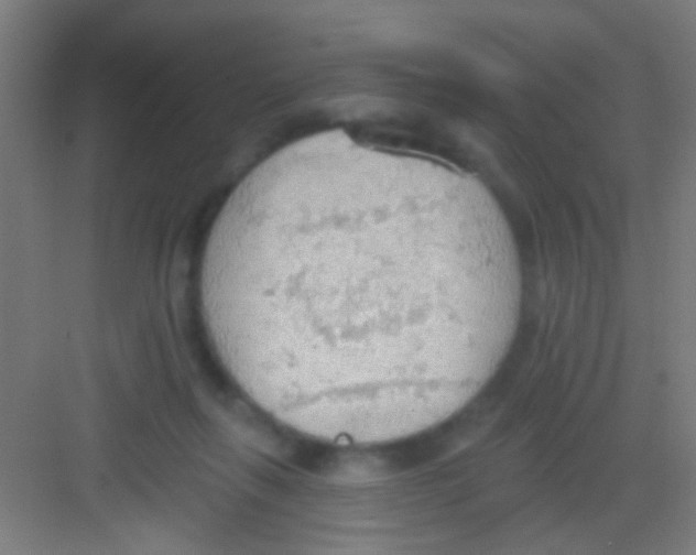 X0000081280263200702082000