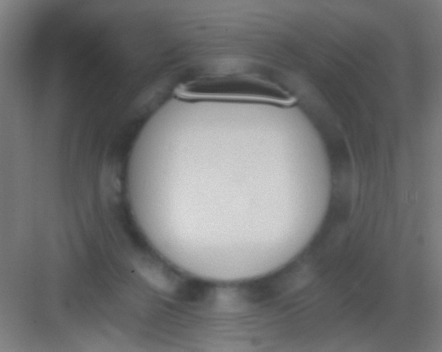 X0000081280264200702082000