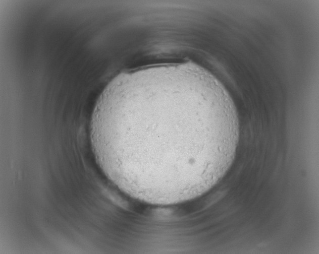 X0000081280265200702082000