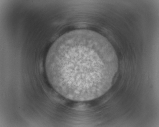 X0000081280267200702082000