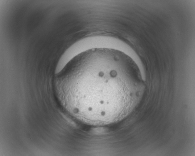 X0000081280269200702082000