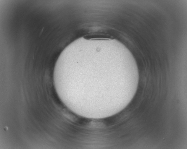 X0000081280270200702082000