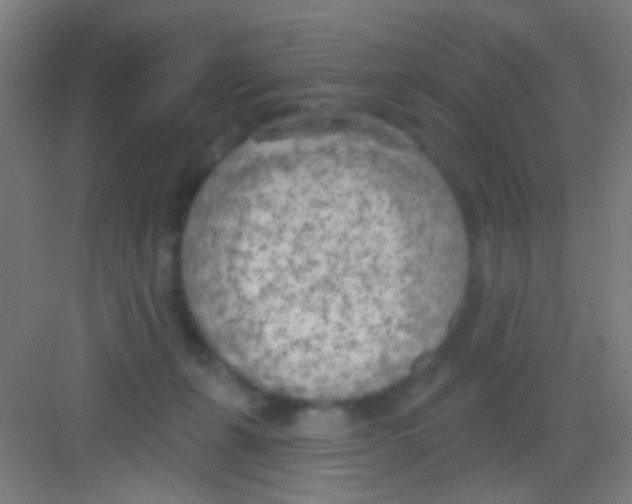 X0000081280271200702082000