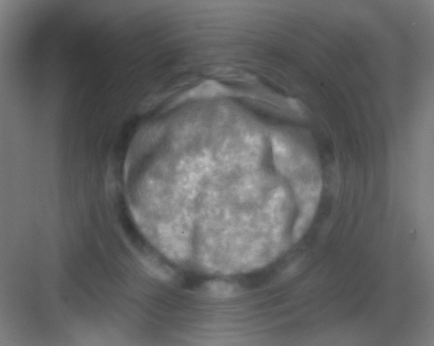 X0000081280272200702082000