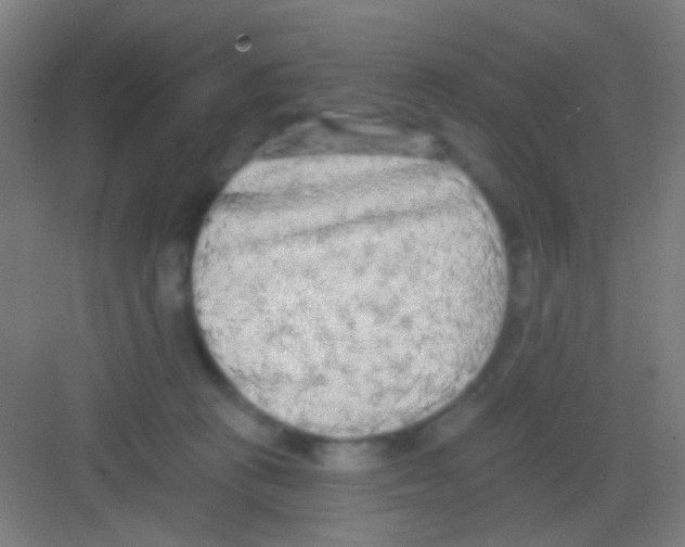 X0000081280273200702082000