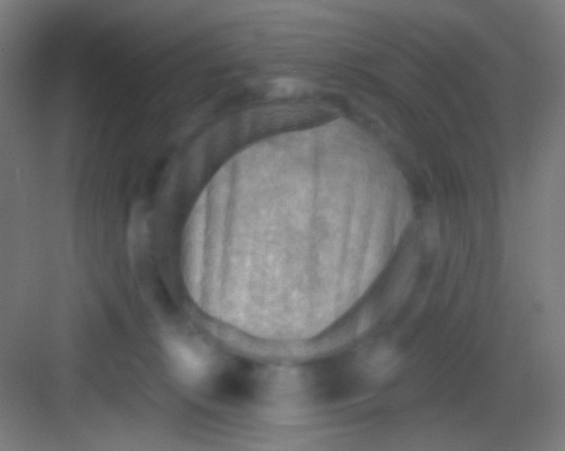 X0000081280276200702082000