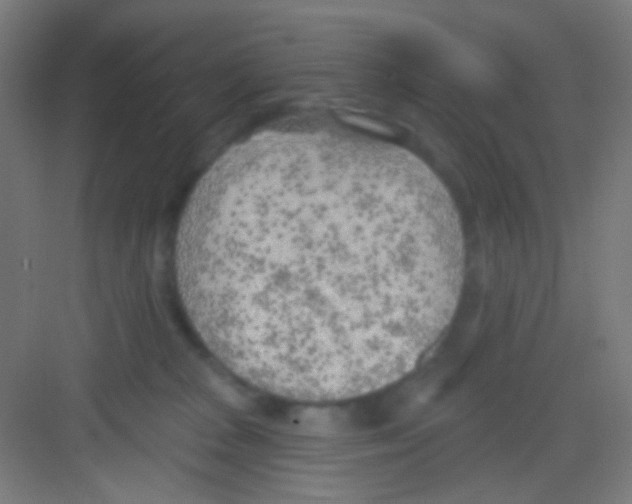 X0000081280277200702082000