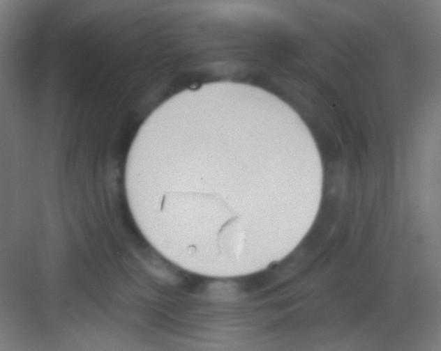 X0000081280279200702082000