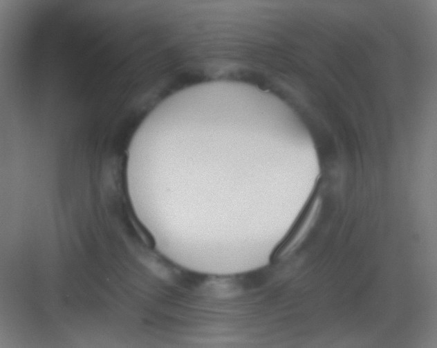 X0000081280280200702082000