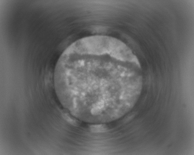 X0000081280281200702082000