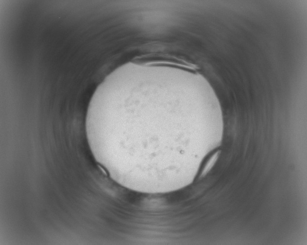 X0000081280283200702082000