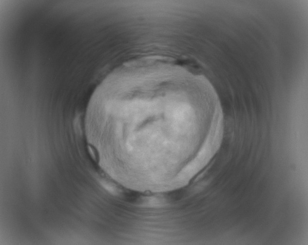 X0000081280286200702082001