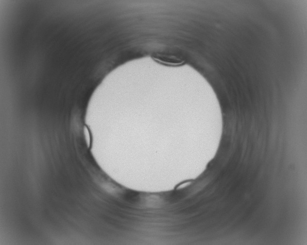 X0000081280287200702082001