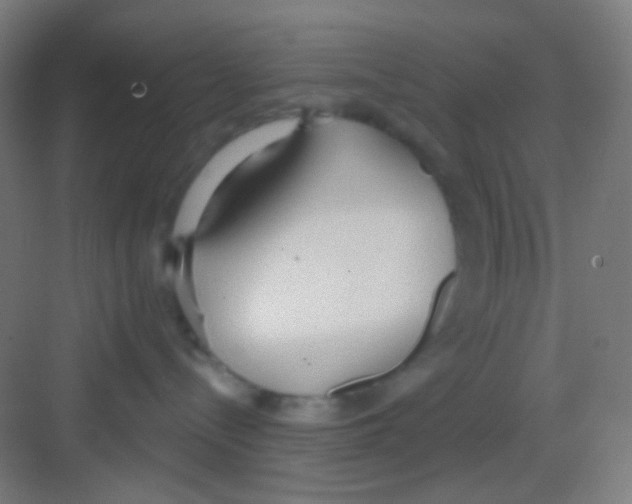 X0000081280288200702082001