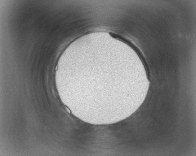 X0000081280289200702082000