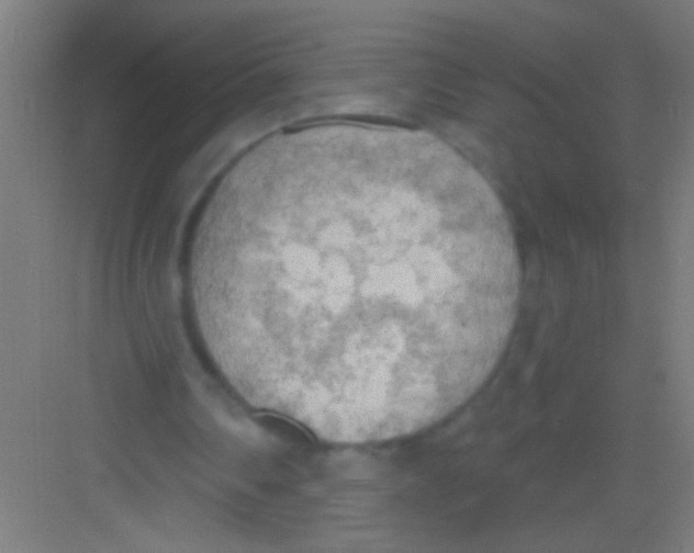 X0000081280290200702082000