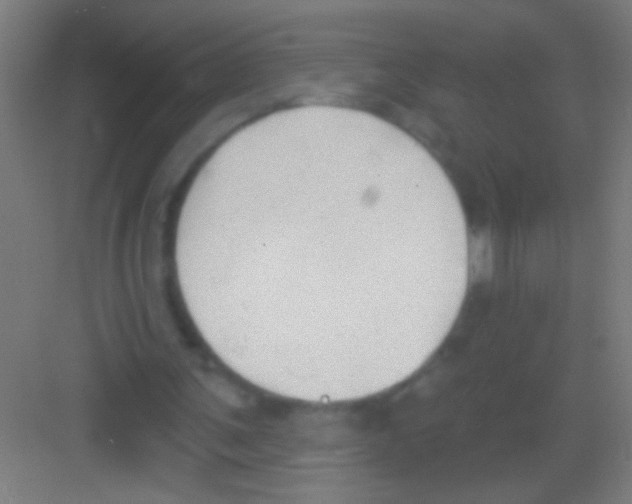 X0000081280291200702082000