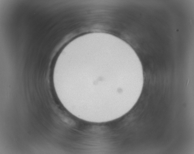 X0000081280292200702082000